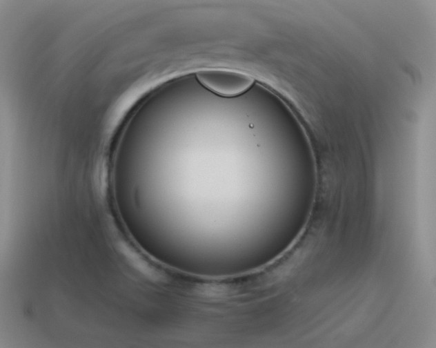 X0000115501511200911061317