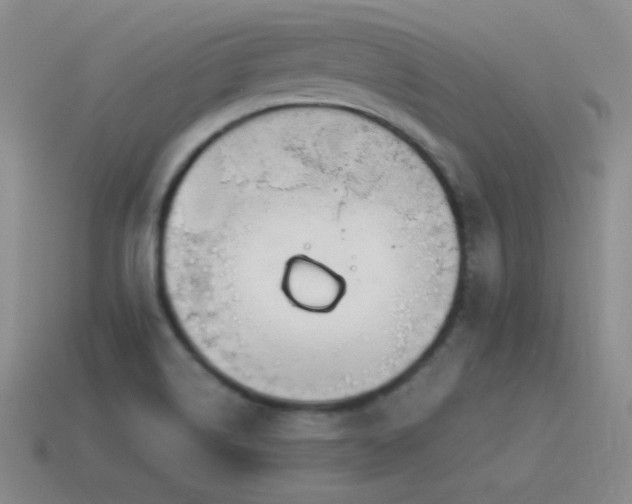 X0000115501514200911061317