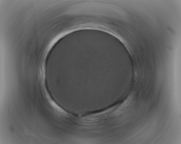 X0000115501515200911061317