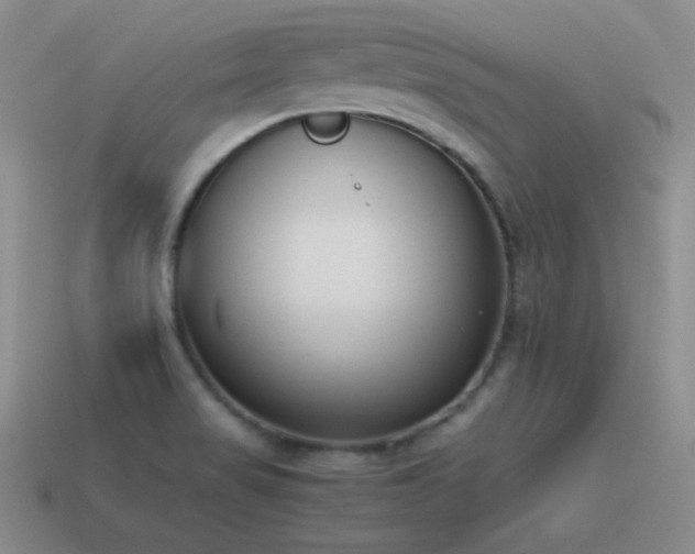 X0000115501517200911061317