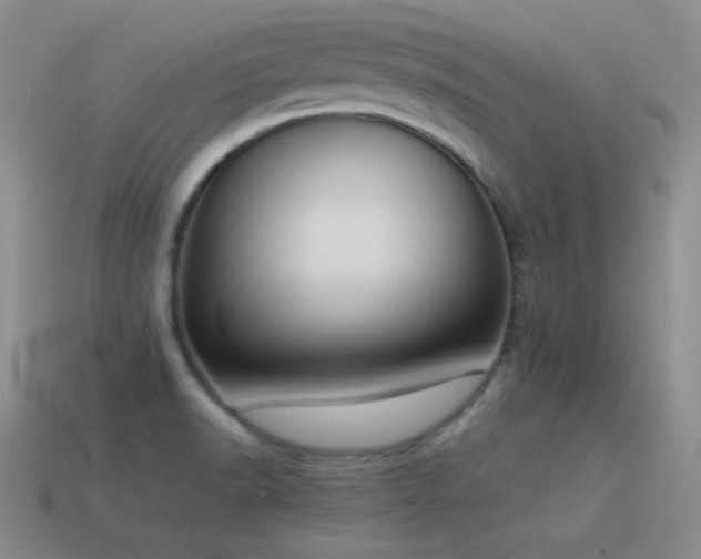 X0000115501518200911061317