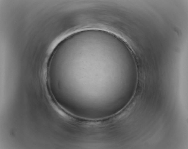 X0000115501519200911061317