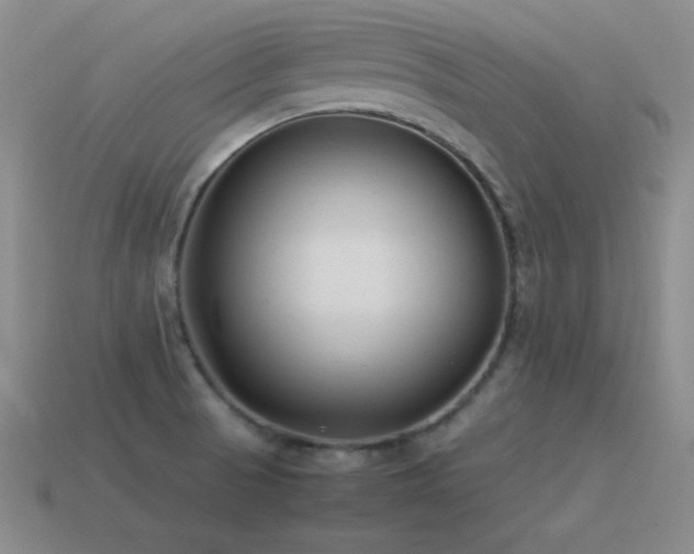 X0000115501521200911061317