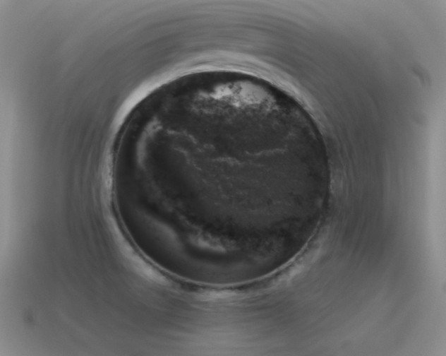 X0000115501522200911061317