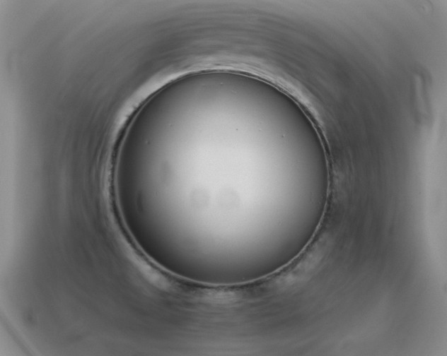 X0000115501525200911061317