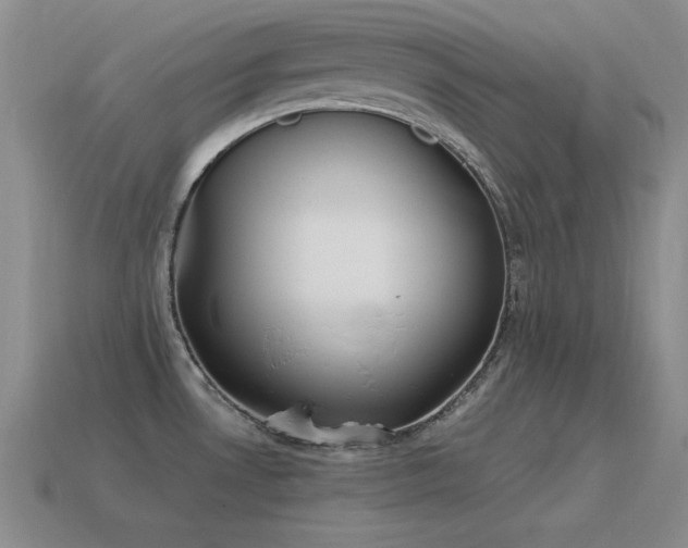X0000115501530200911061317