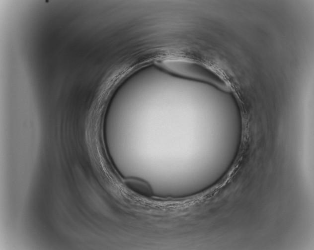 X0000115500001200911131330