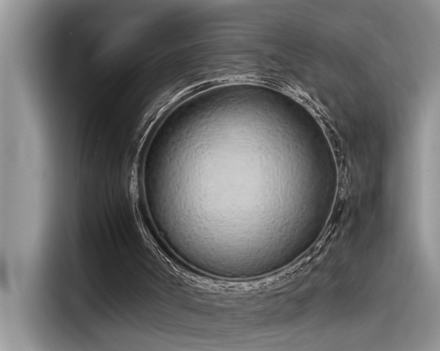 X0000115500002200911131330
