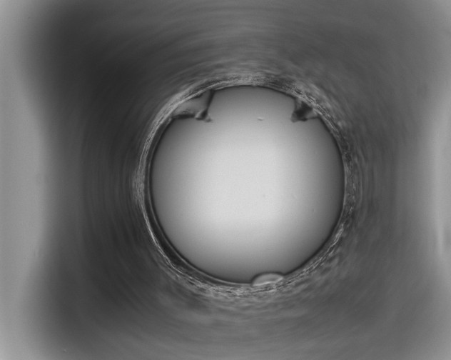 X0000115500003200911131330