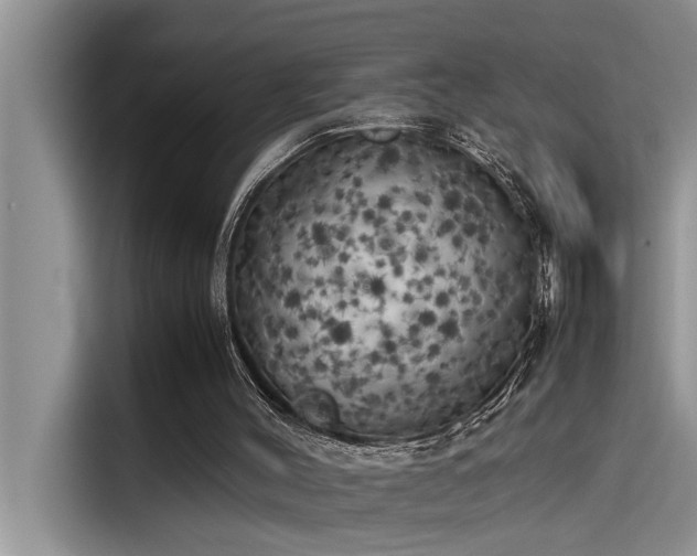 X0000115500004200911131330