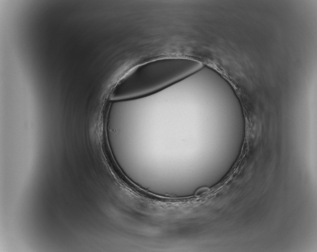 X0000115500005200911131330