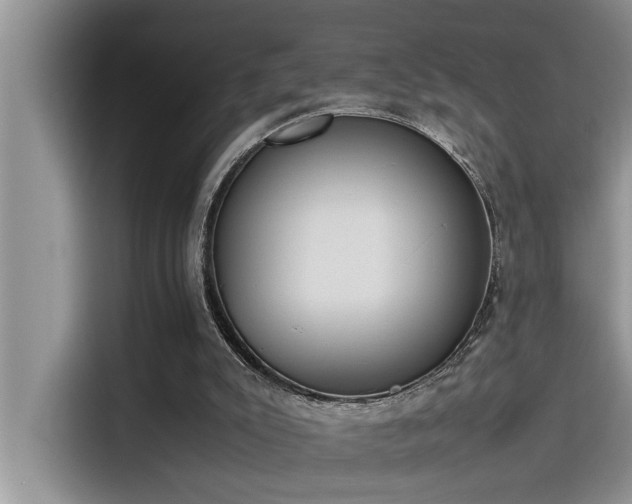 X0000115500007200911131330