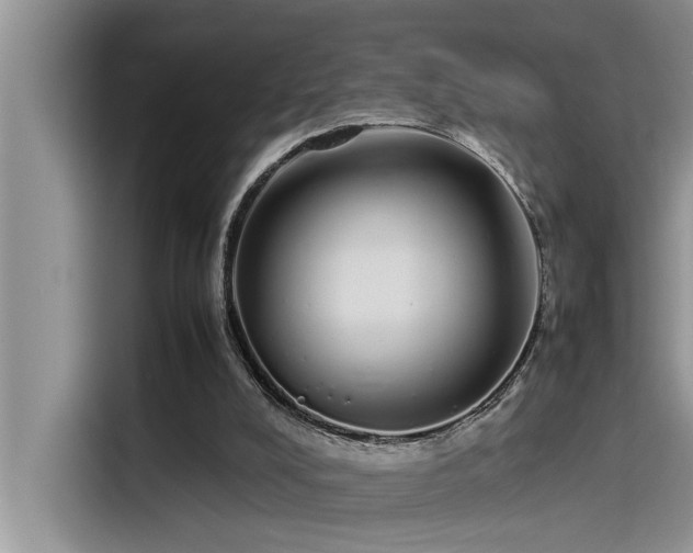 X0000115500008200911131330