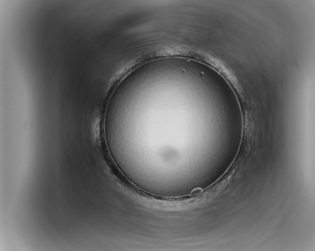 X0000115500010200911131330