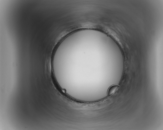 X0000115500011200911131330