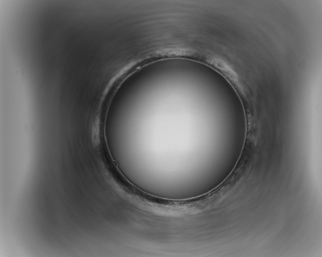 X0000115500012200911131330