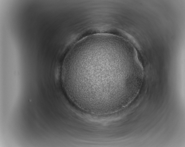 X0000115500018200911131330