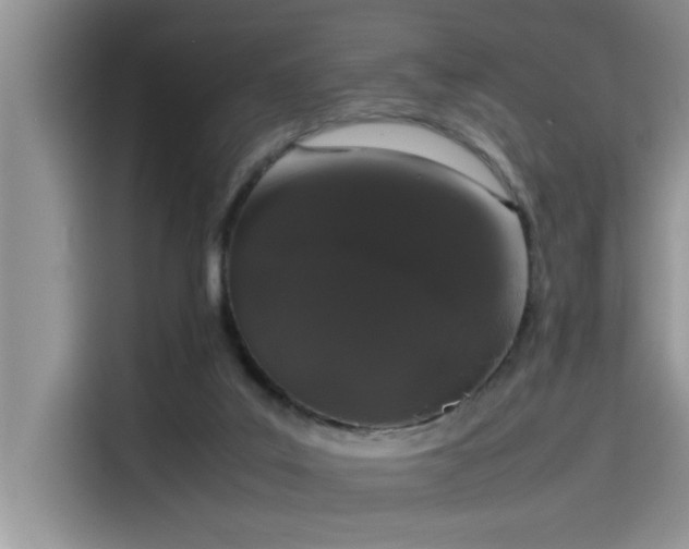 X0000115500019200911131330