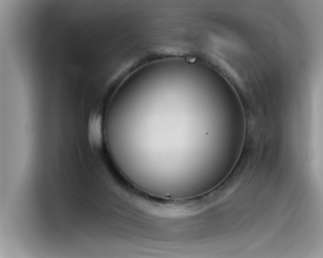 X0000115500020200911131330