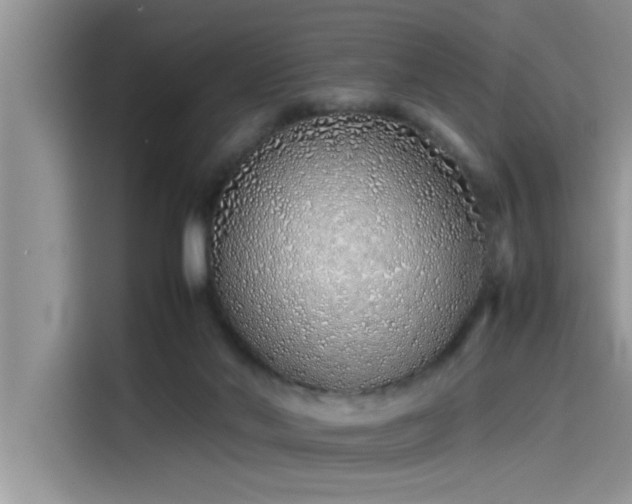 X0000115500022200911131330