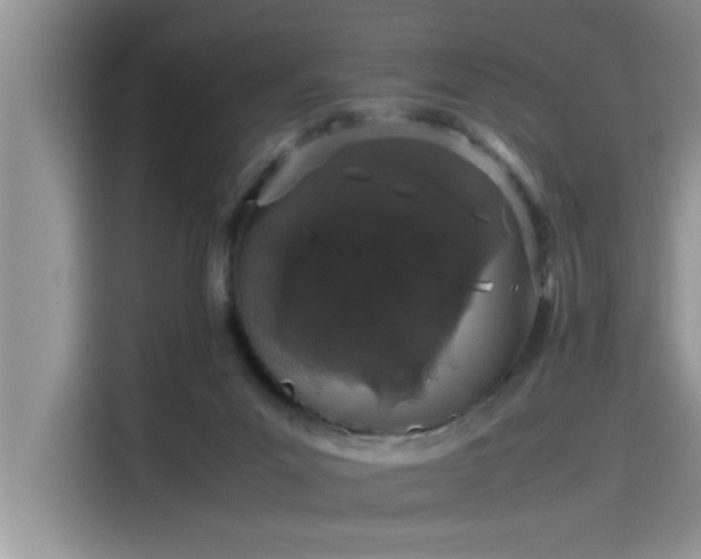 X0000115500023200911131330