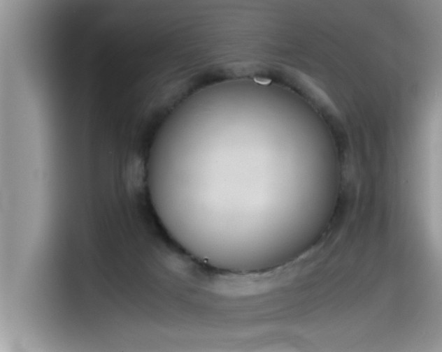 X0000115500025200911131330