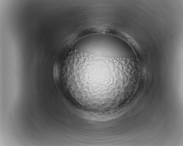 X0000115500026200911131330