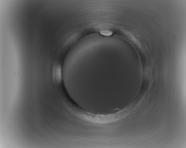 X0000115500027200911131330