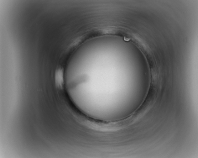 X0000115500028200911131330