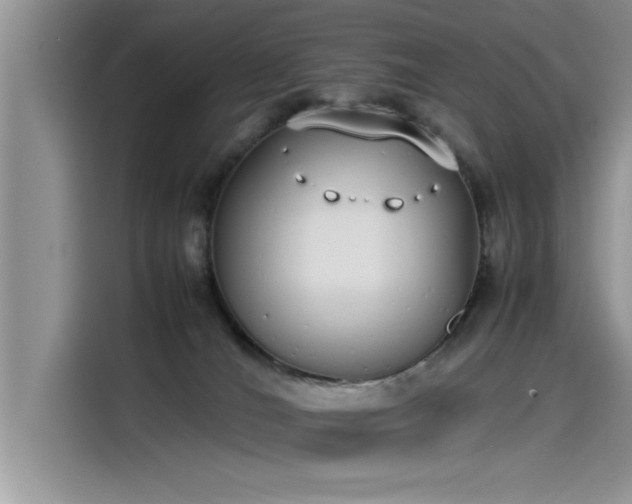 X0000115500036200911131330