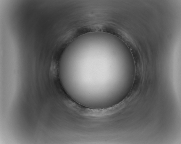 X0000115500037200911131330