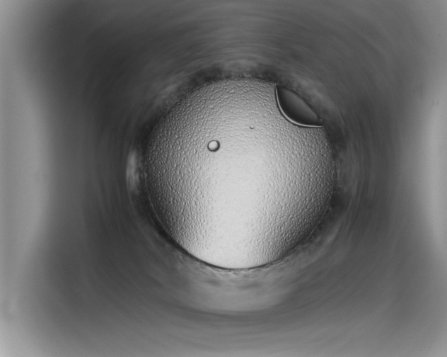 X0000115500038200911131330