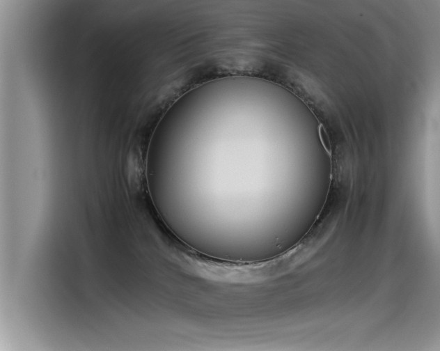 X0000115500040200911131330