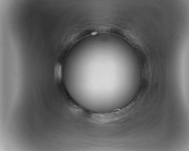 X0000115500041200911131330