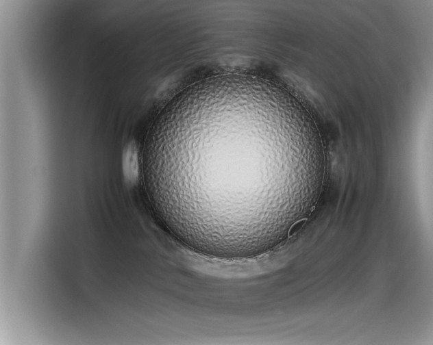 X0000115500042200911131330