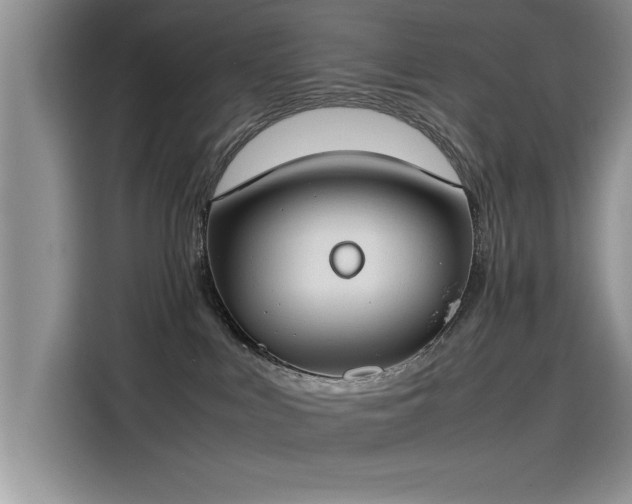 X0000115500043200911131330
