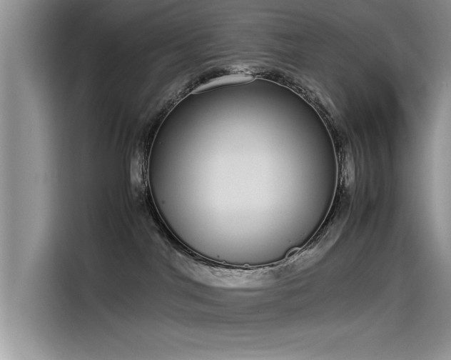 X0000115500044200911131330
