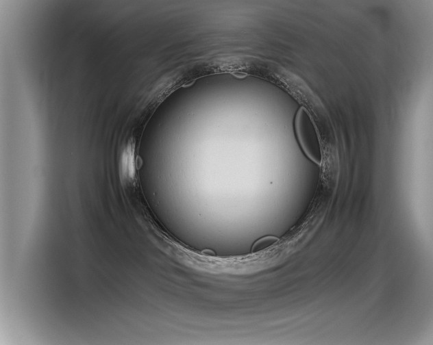 X0000115500046200911131330