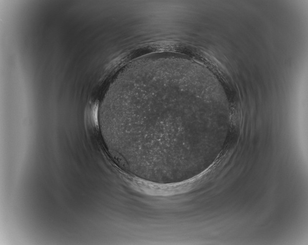 X0000115500047200911131330