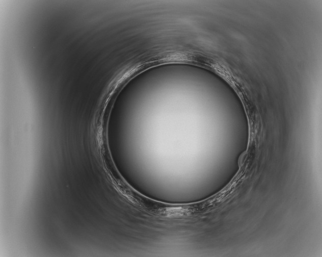 X0000115500050200911131329