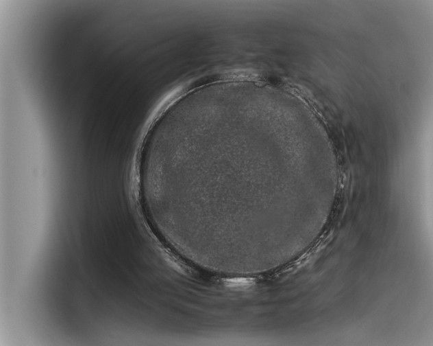 X0000115500053200911131329