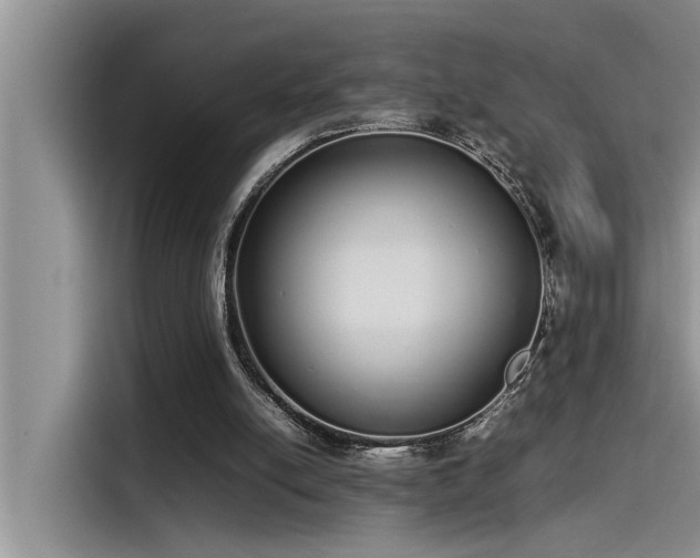 X0000115500054200911131329
