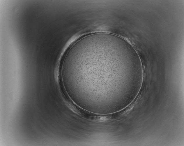 X0000115500056200911131329