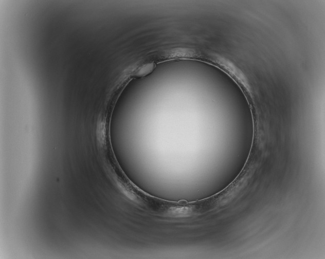 X0000115500057200911131329