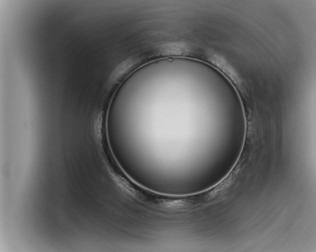 X0000115500058200911131329