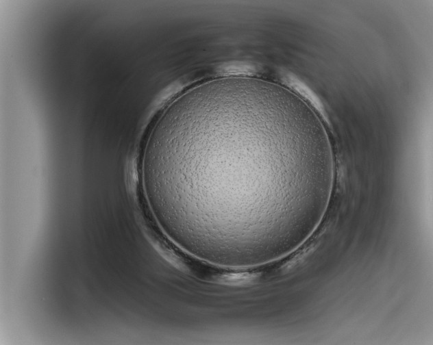 X0000115500059200911131329