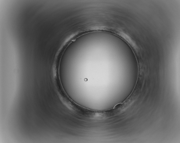 X0000115500060200911131329