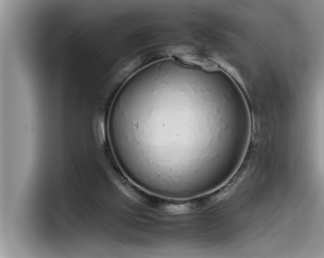 X0000115500061200911131329