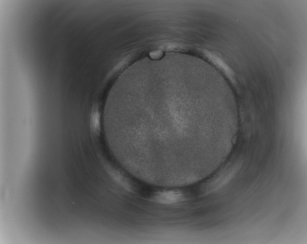 X0000115500067200911131329
