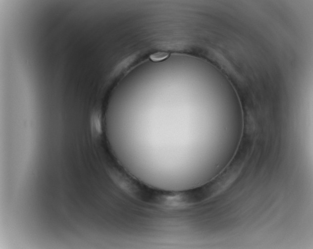 X0000115500068200911131329